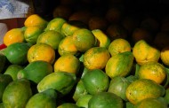 Beware Of Unripe Fruits, Top Biochemist Warns