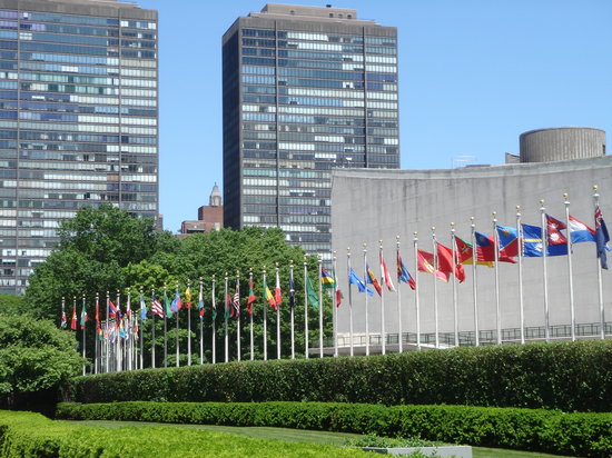 Career Openings For 37 Young Nigerians At The United Nations